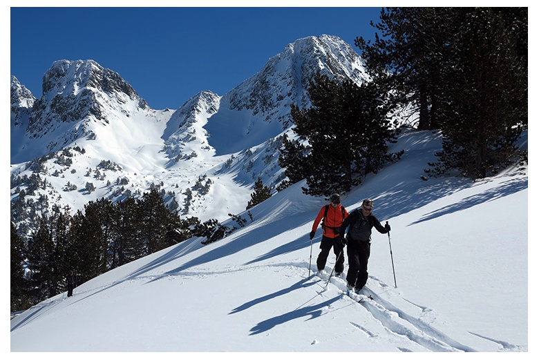 mountaineering skiers progressing through bosc de locampo on a superb blue sky day