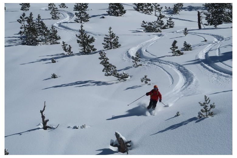 skier taking advantage of the fresh snow on untouched terrain